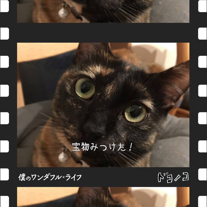 0ce519fc 3563 4020 9fde 4308849d431e