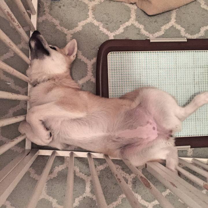 0ce5d3dc f948 452a 99ad 8b9471d70e87