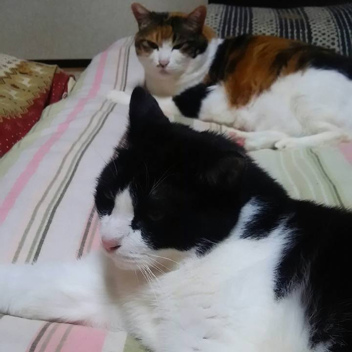 0ce5de58 026a 4781 b573 d242d73df13e