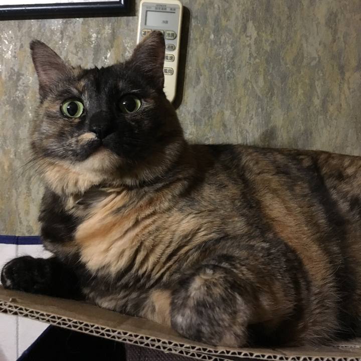 0ce5e334 9e5e 4700 aafc 74033ef226b4