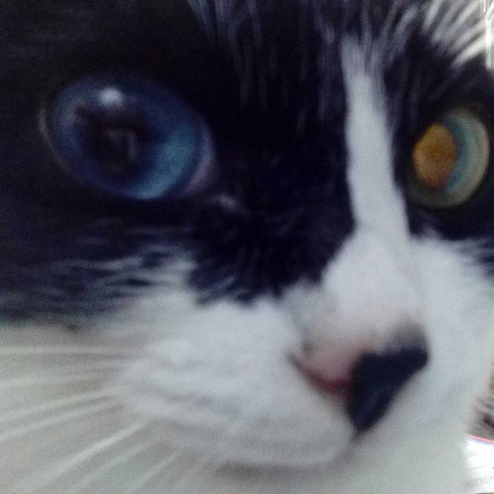 0ce5efa9 b8f5 4ca1 bed7 3f00c90e0934