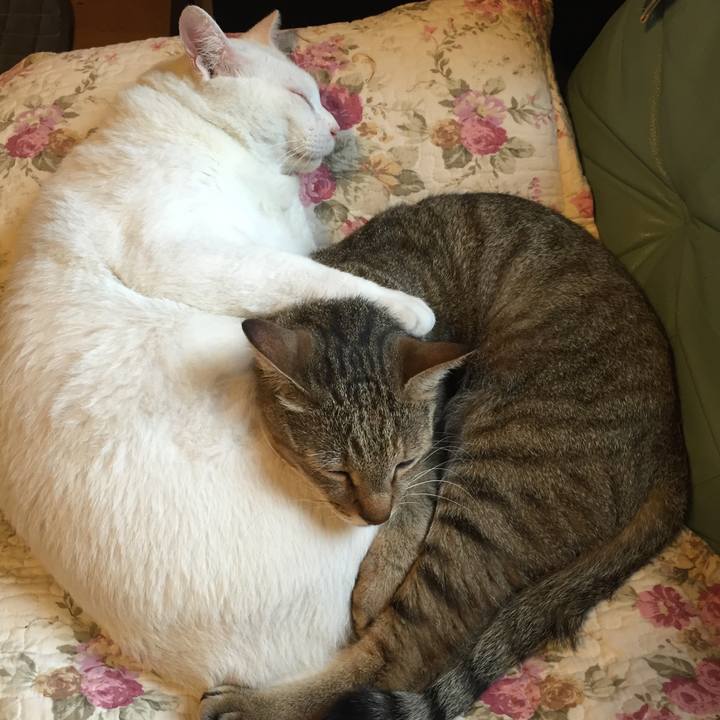 0ce66ddf bb27 4be0 8df0 b743768c2365