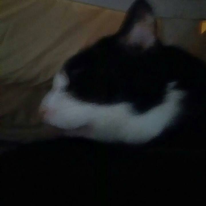 0ce6bf56 30a6 46a0 8972 74bf0963b4db