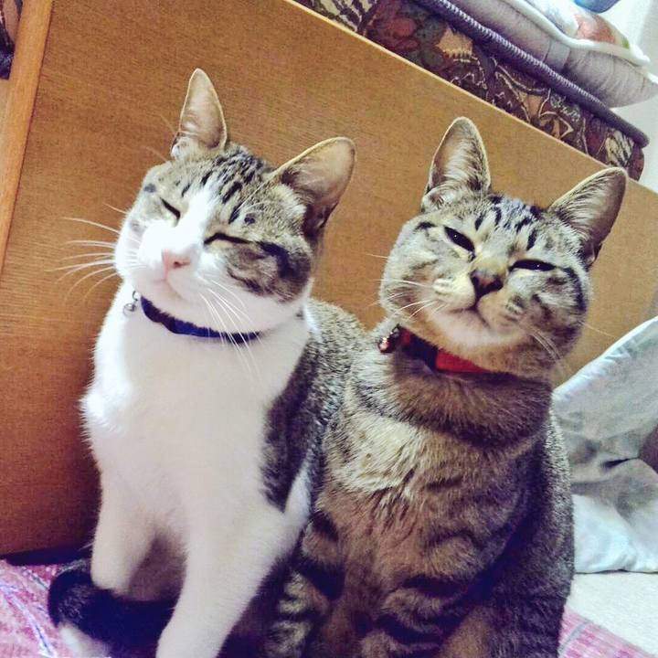 0ce6f821 3ce4 469c 8b6b 89811fd32e71