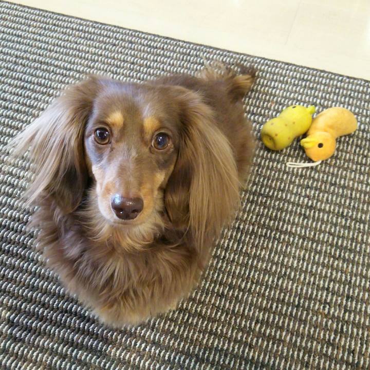 0ce733ca 1781 48a9 8b6d 3e2cf1c8c9bf