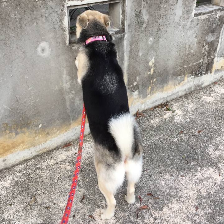 0ce7bdb0 26c2 4a7e b901 9190dcf05e89