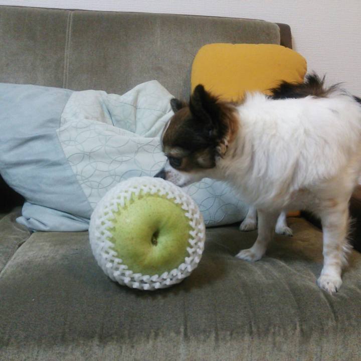 0ce7eee1 1546 4594 be44 2df1eaffc89d