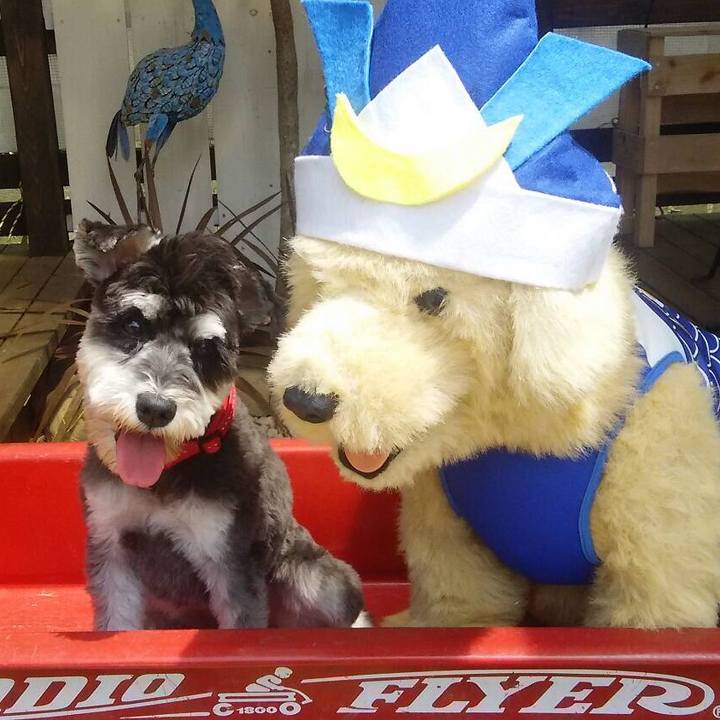 0ce80743 8afe 4709 9313 93d30eb9a9c5