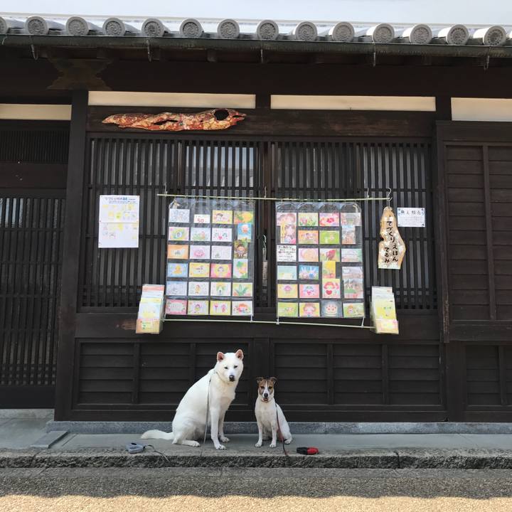 0ce81bb9 1dd5 4e18 8cc4 b439b66ade8f