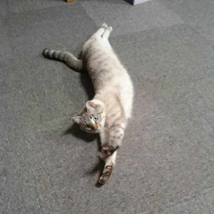 0ce920c3 be2a 47c9 82eb f28169d82fd6