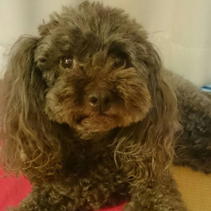 0ce92137 8e2c 40de bbcf fdbff0825562