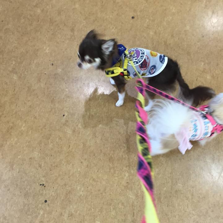 0cea3ec1 bf1c 4c54 a640 9a1f66bb6647