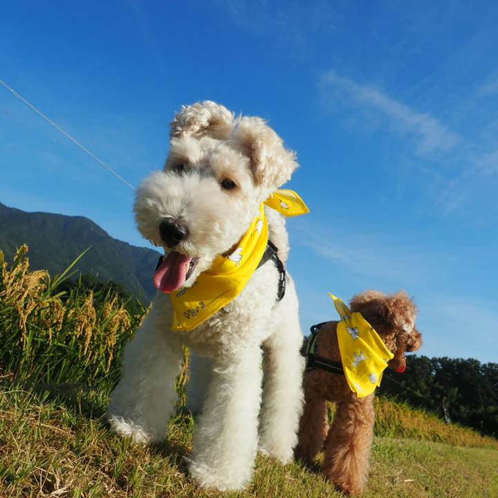 0cea6602 42f3 4326 9712 39c825a14147