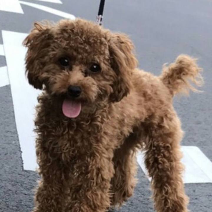 0ceac49f 8fed 4457 afcc 07db59f42475