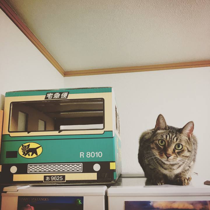 0ceb8b20 473d 4152 9c79 f4c26104706c