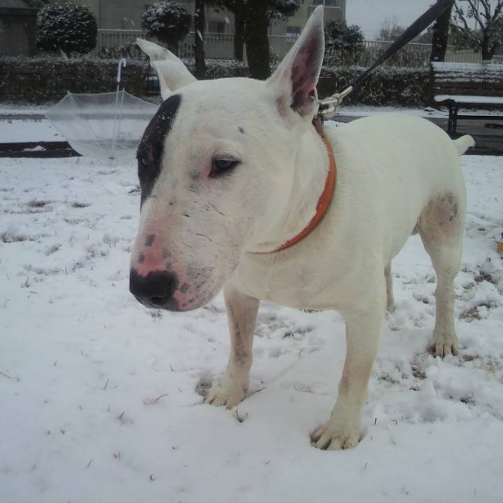 0cebc705 6abc 4490 a122 5942d648b73e