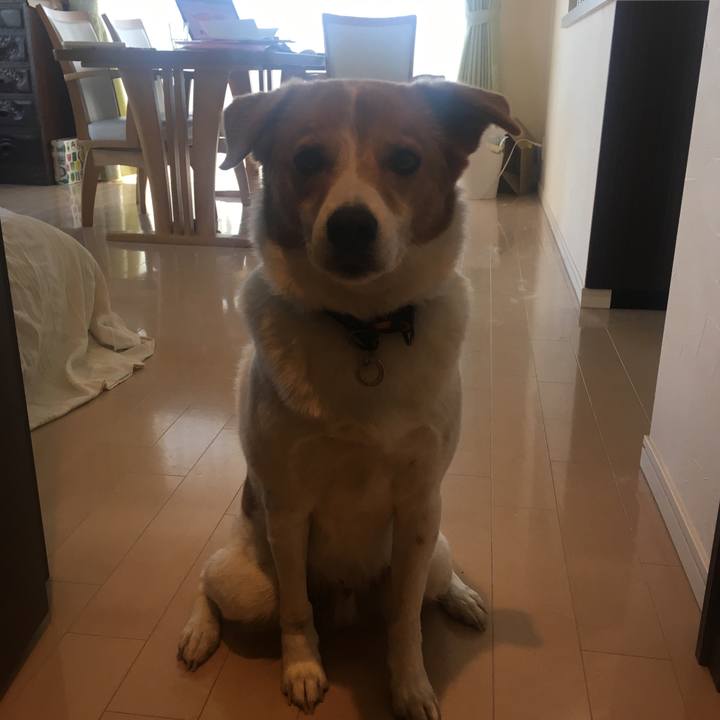 0cedb925 b141 49cc bd93 fb1bb2d1e8df