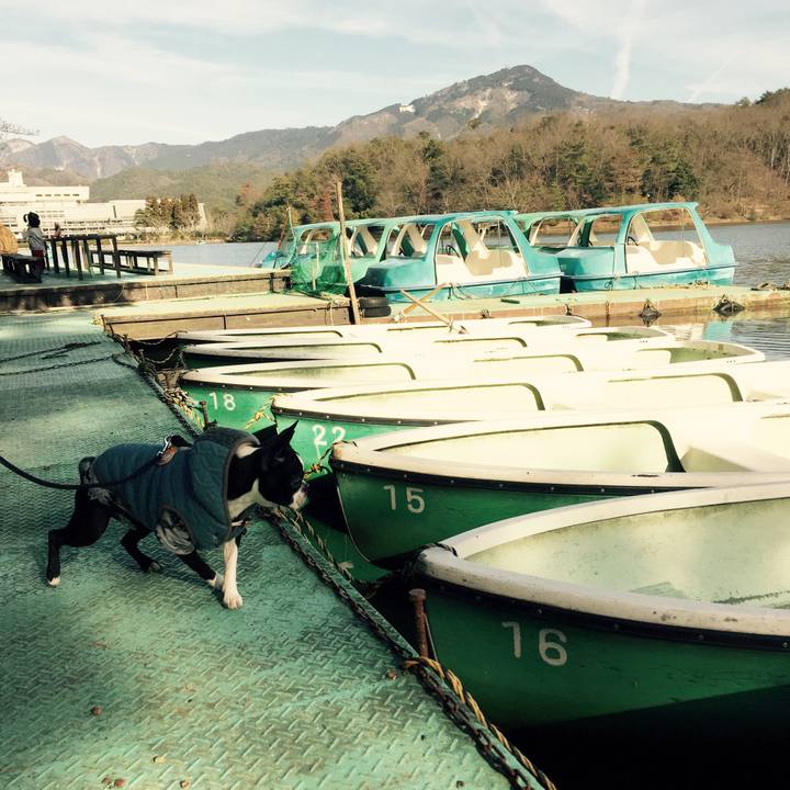 0cedd1e7 c879 46f3 899d 41c6f1c448c0