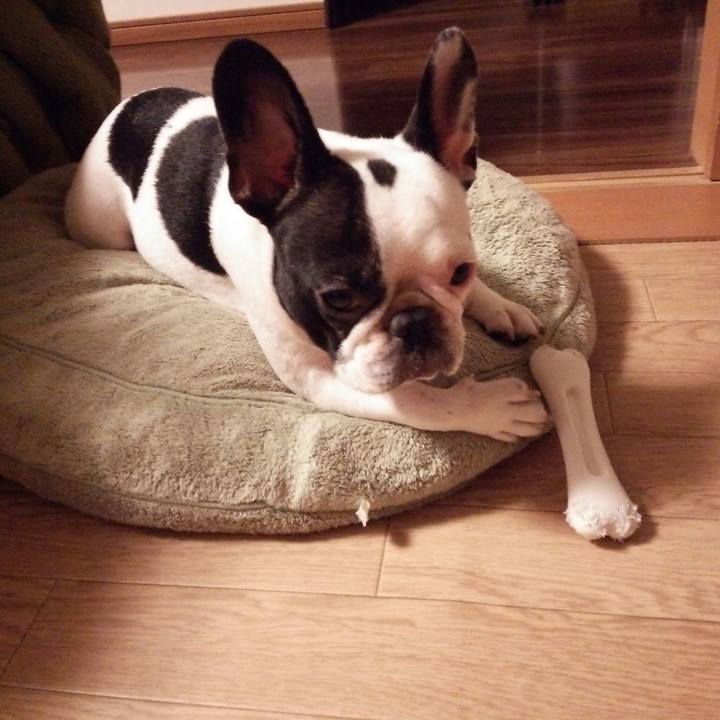 0cedd21c eb75 4c41 bdc1 706d8a11aa19