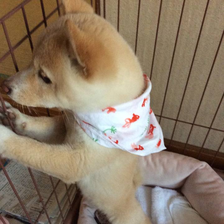 0cee860d 412a 4439 839e 55a0bdf89e1b