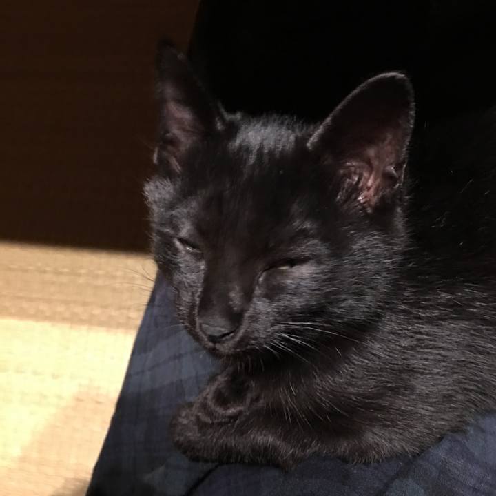 0cee8f1b 343c 4561 b2d0 af7f2ef60d81