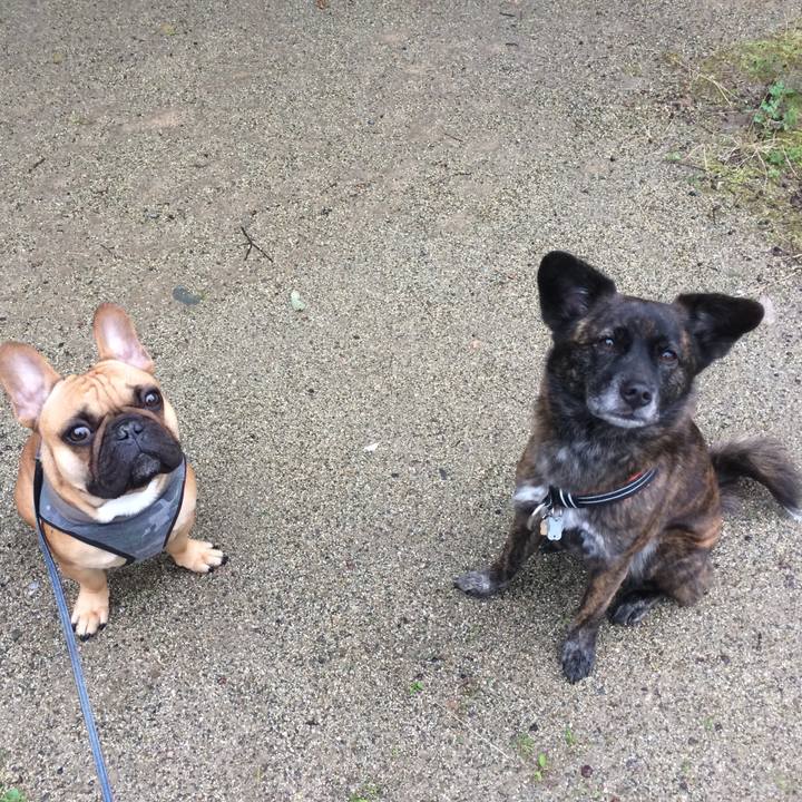 0ceec0ab 29f0 49b3 b0e3 3c6fe1b8e730