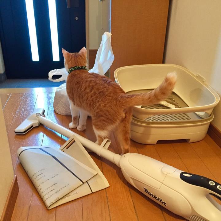 0cef1dee d934 48e3 bcf0 4ac23b4cc95c