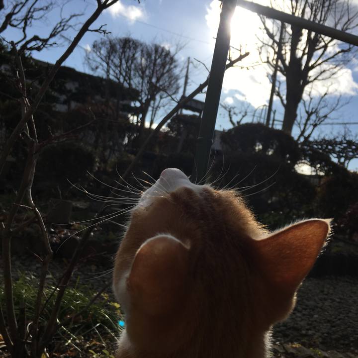 0cef3048 b535 41c3 ad95 0ed9989a5ee0