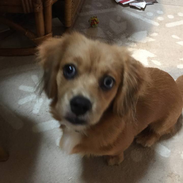 0cef87f1 287b 44b5 97f5 f97a7cff5cc1