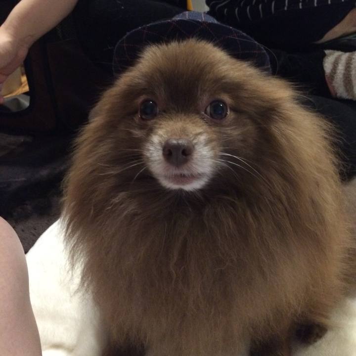 0cef8ea9 8a1d 457e 97d4 cec6e6eb796f