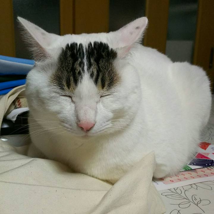 0cefc1e9 48d8 47eb ae14 8763d244b45b