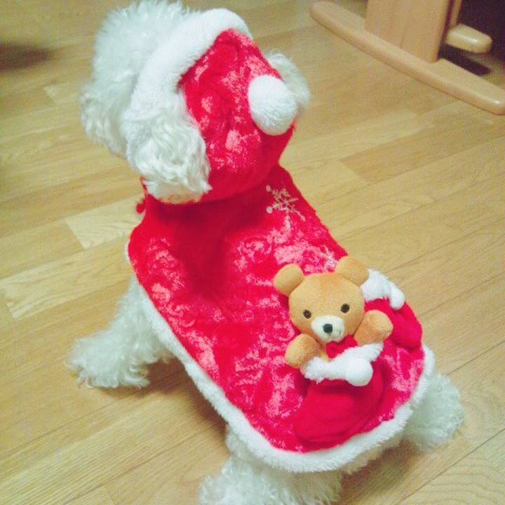 0cefd248 2e90 4fea 81fe ef51f8fae791