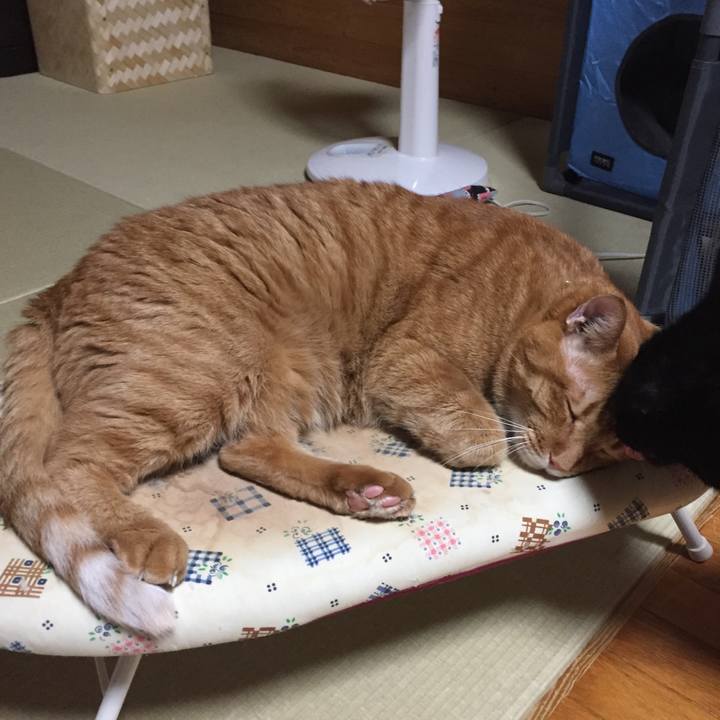 0cf12021 4184 4439 b0e5 8aa7ba3225a7