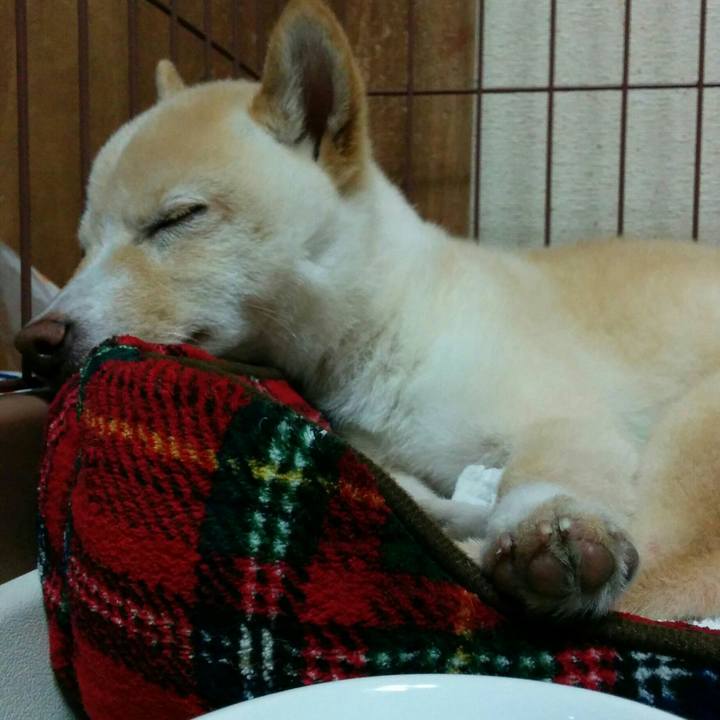 0cf13d2d 730e 473f b205 2286a22f1e08