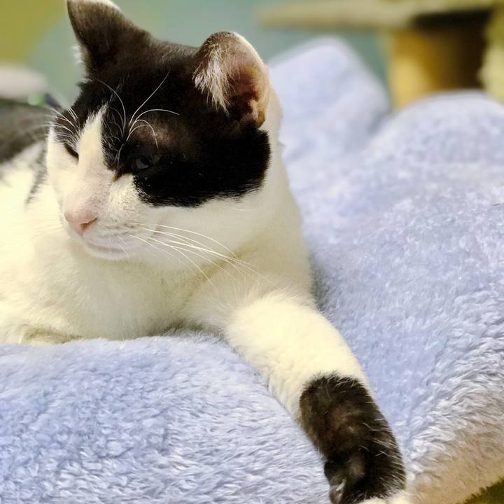 0cf1962d c31a 44c4 b693 11194ff71cbc