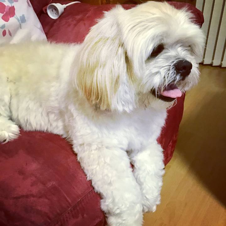 0cf1aa3e 0733 4f07 8668 20c9a72faece