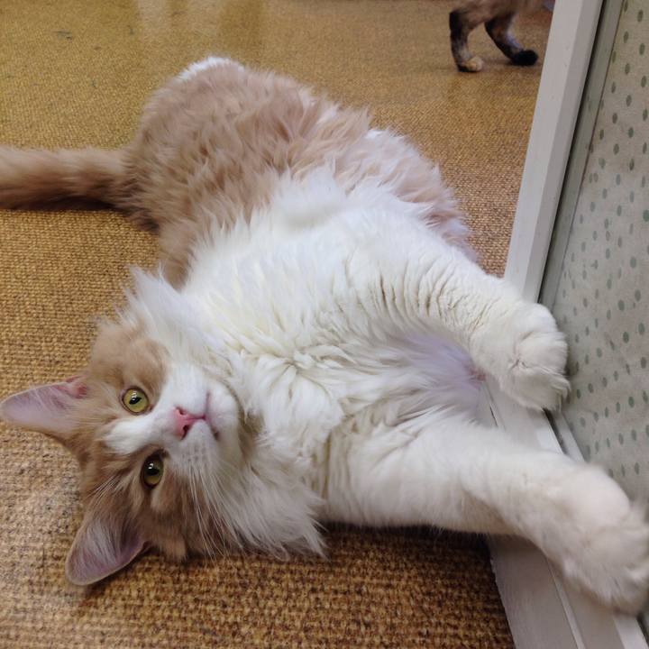 0cf1c229 6cb1 4adb 9e16 8cc0ba3d6b26