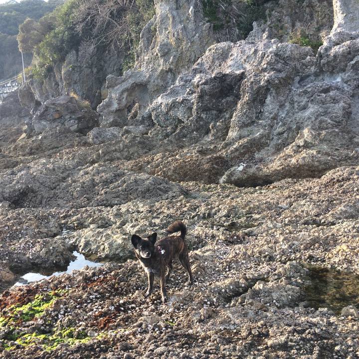 0cf20bd6 e06e 45c1 bd3c 38fda1b33bcd