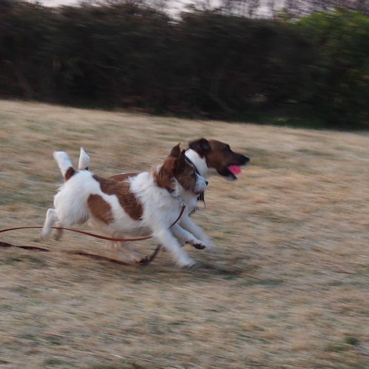 0cf37605 9ab4 43d4 9512 a9e3c496886c