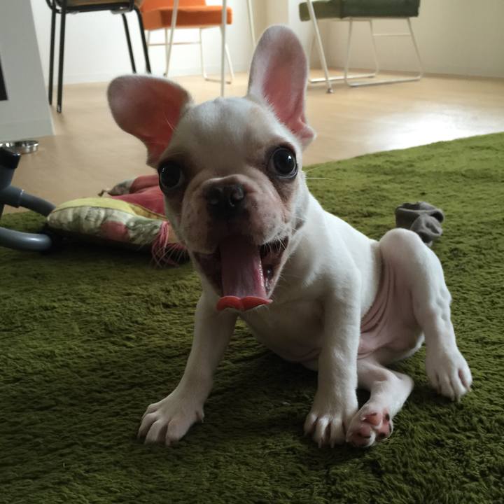 0cf3d9a1 5efb 4135 8309 fcbe7a107110