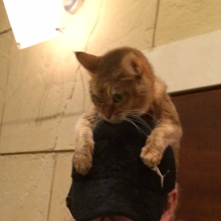 0cf3dfa7 56e6 4dc9 925a 7c2e9f5c08ba