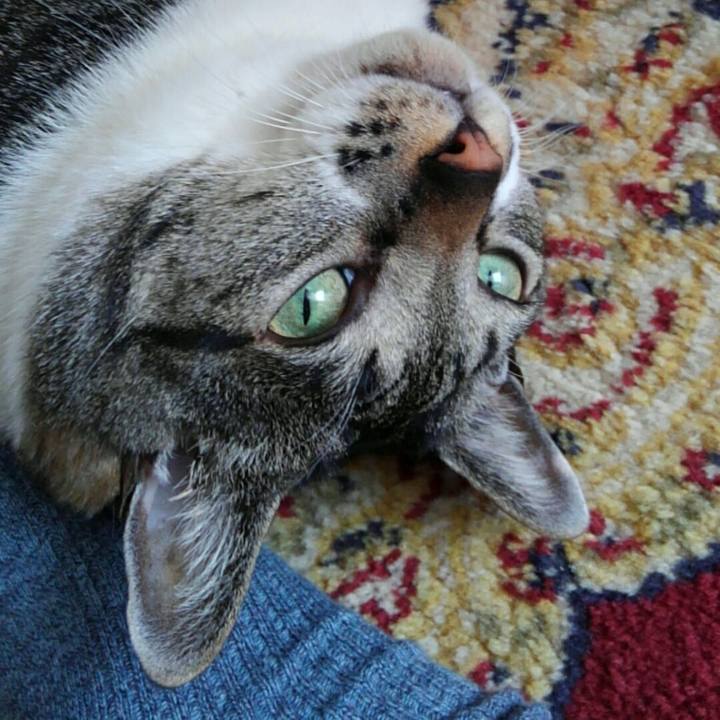 0cf5031d 73a5 4656 8fb2 02fe057da419