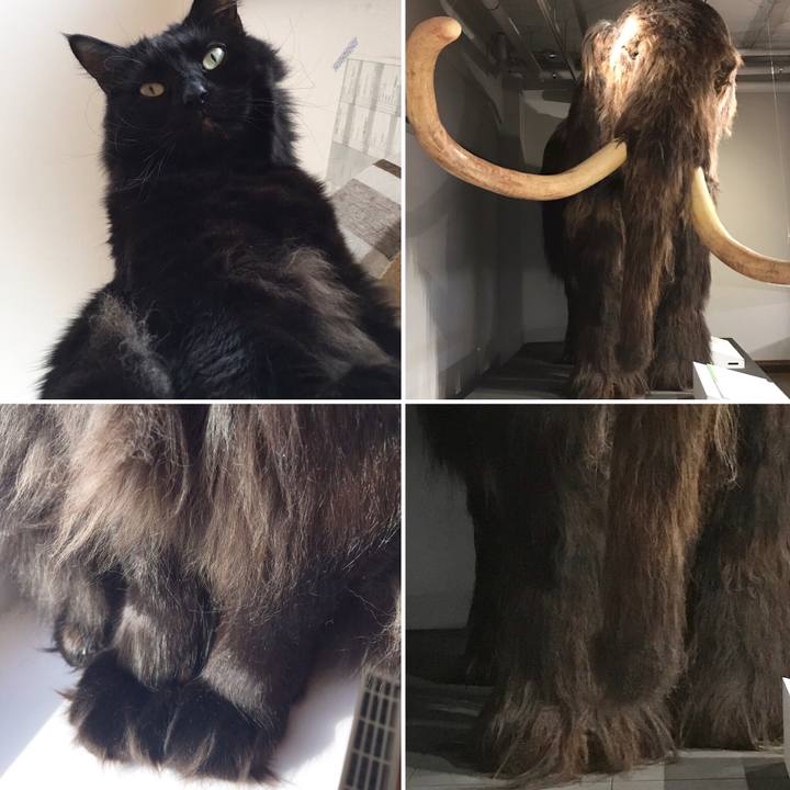 0cf57d76 6f5f 4105 8bca 152627a6327c