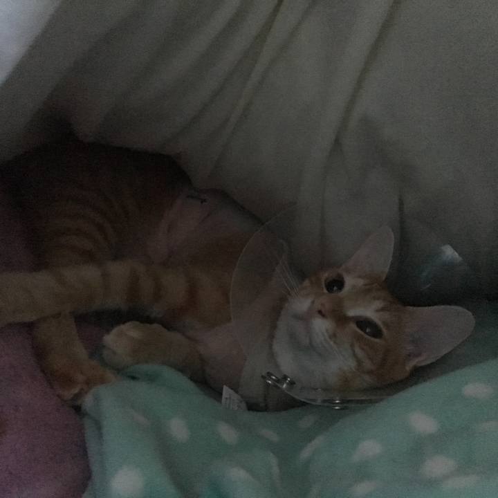 0cf5800a 1500 4047 980c e23dcd80af4e