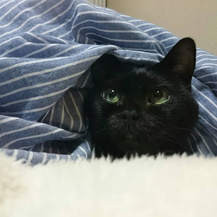 0cf58d01 b0e7 47c4 a2eb c9916851b286