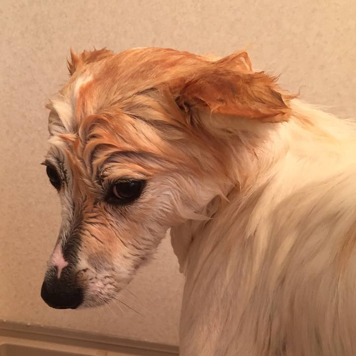 0cf5e02a 920a 4cbf b3a6 322583fc1019