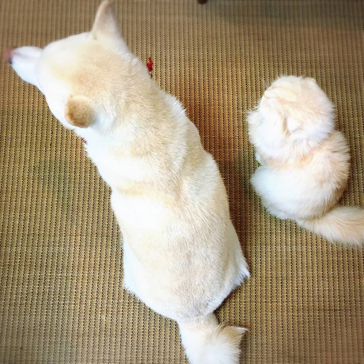 0cf61922 b097 459e a35f 10afeae2734d