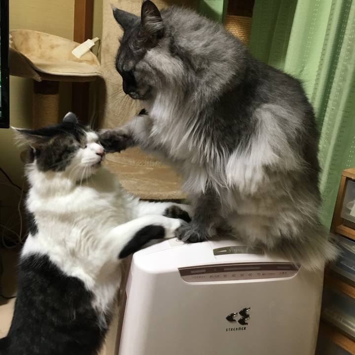 0cf636e2 a9fe 4438 ad37 1a6bbef4efec