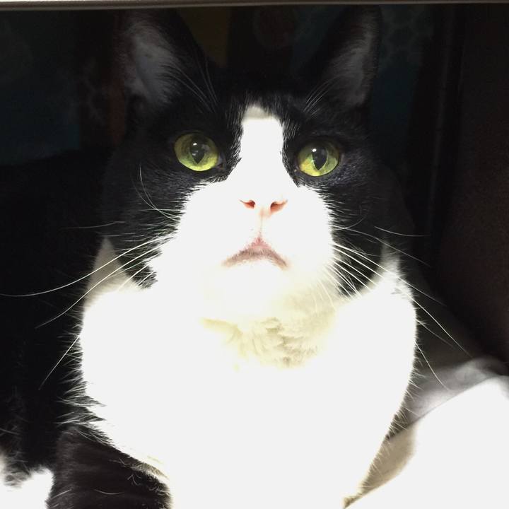 0cf6ba86 baca 418e ac6f 2df433baa684