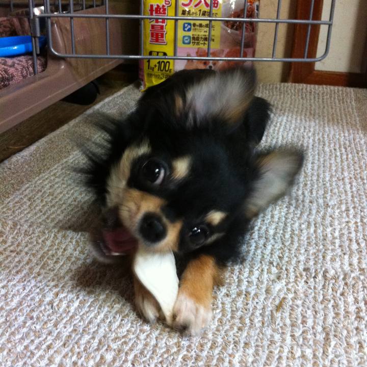 0cf6ccc8 4a91 4c91 b656 62a633e21c2b